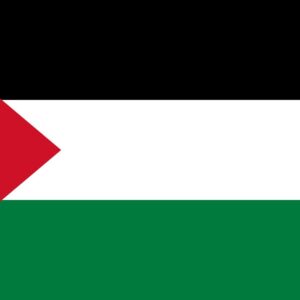 Simplistic palestinian flag design wallpaper