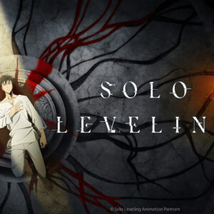 Sung jin woo official solo leveling partners wallpaper