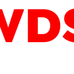 Crowdstrike official logo