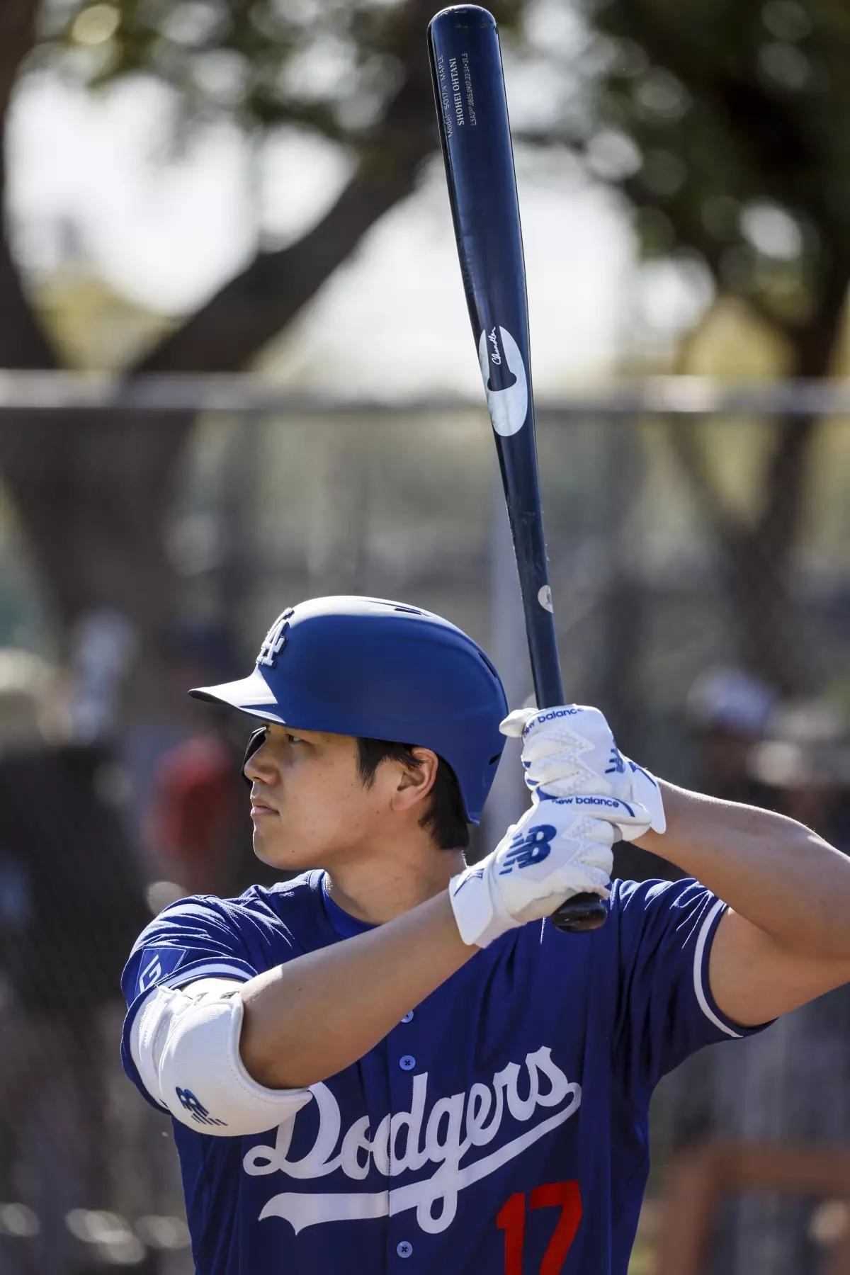Shohei ohtani dodgers batting wallpaper