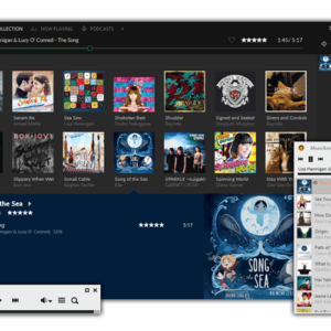 Musicbee windowspc