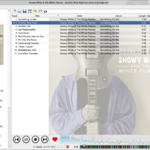 Strawberrymusicplayerwindowspc