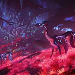 Graphics animals