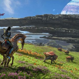 On horse