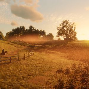 Riding horses