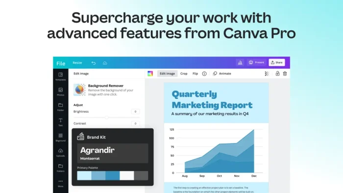 Canva pro features