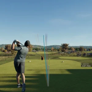 Custom player