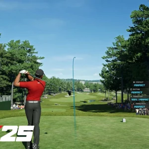Tigerwoods gameplay graphics