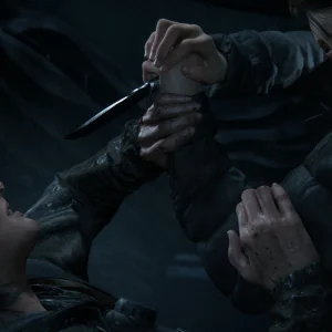 Fight