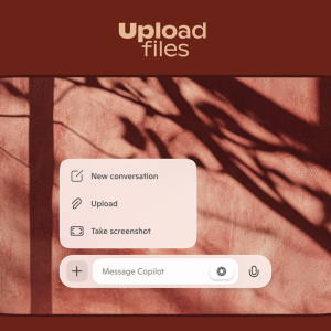 Upload files