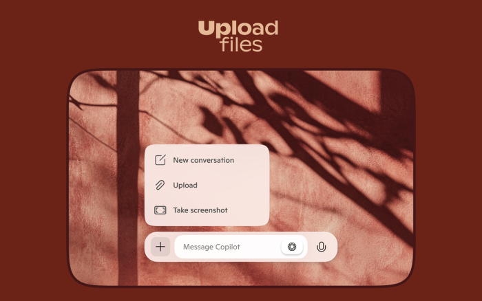 Upload files