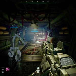 Multiplayer gameplay