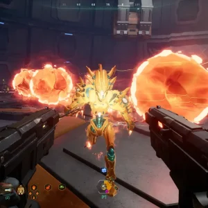 Double guns