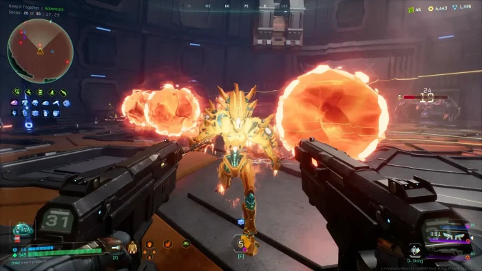 Double guns