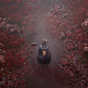 Red flowers