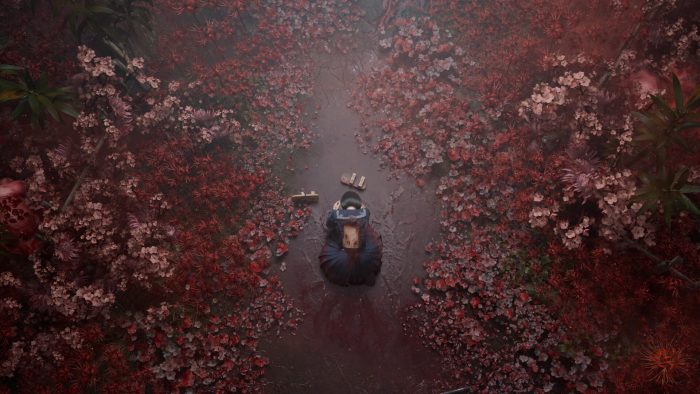 Red flowers