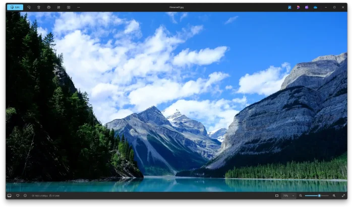 A picture in microsoft photos app