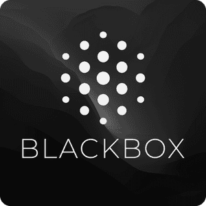 Blackboxai logo Blackboxai logo