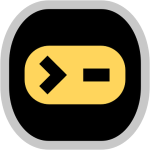 Console ninja Console ninja