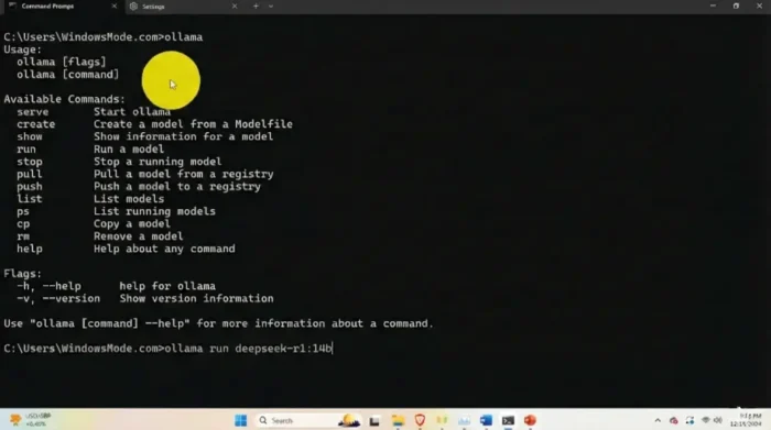 Screenshot run deepseek r1