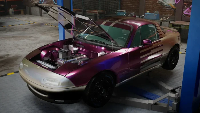 Inspect your own car