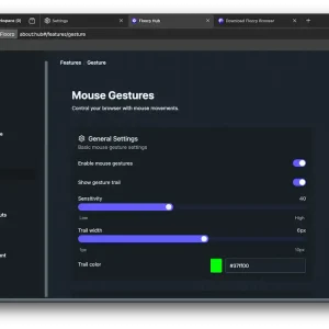 Mouse gesture settings
