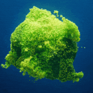Animated green blob