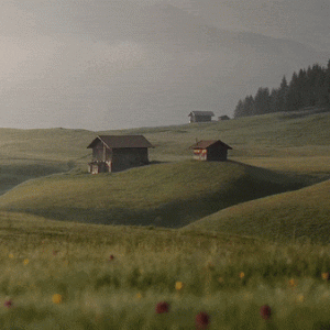 Machine learning dynamic wallpapers