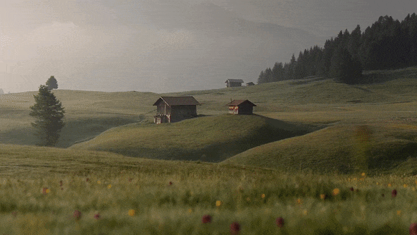 Machine learning dynamic wallpapers Machine learning dynamic wallpapers