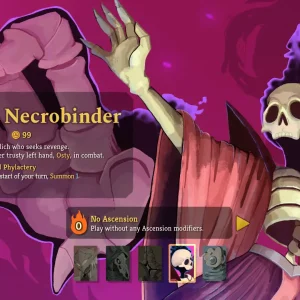 The necrobinder