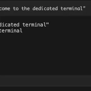 Dedicated terminal screenshot