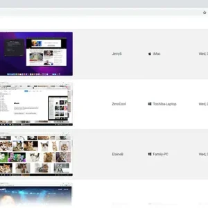 Which websites you browsed