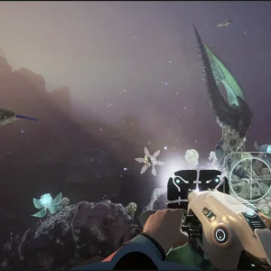 First person view
