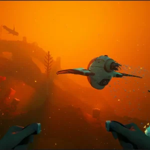 Multiplayer with friends