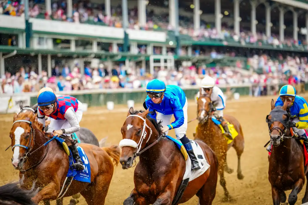 2024 Kentucky Derby racehorses