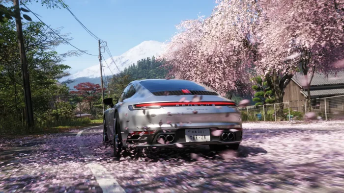 Porsche hd driving graphics - Forza Horizon 6 for PC: Guide, Tips & System Requirements