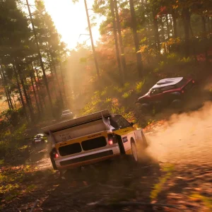 Racing in the woods