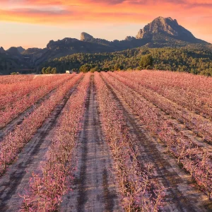 Screenshot hd - Bing Wallpaper for Windows: Download Guide, Features & Tips