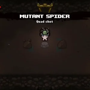 Mutant spider