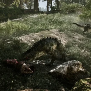Wild animals