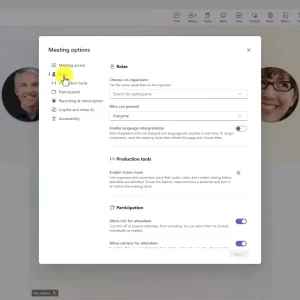 17. meeting controls