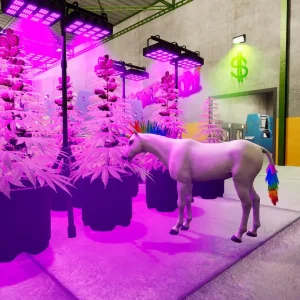 Gameplay graphics random horse