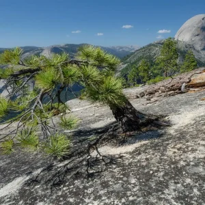 03 scenes from yosemite windows theme