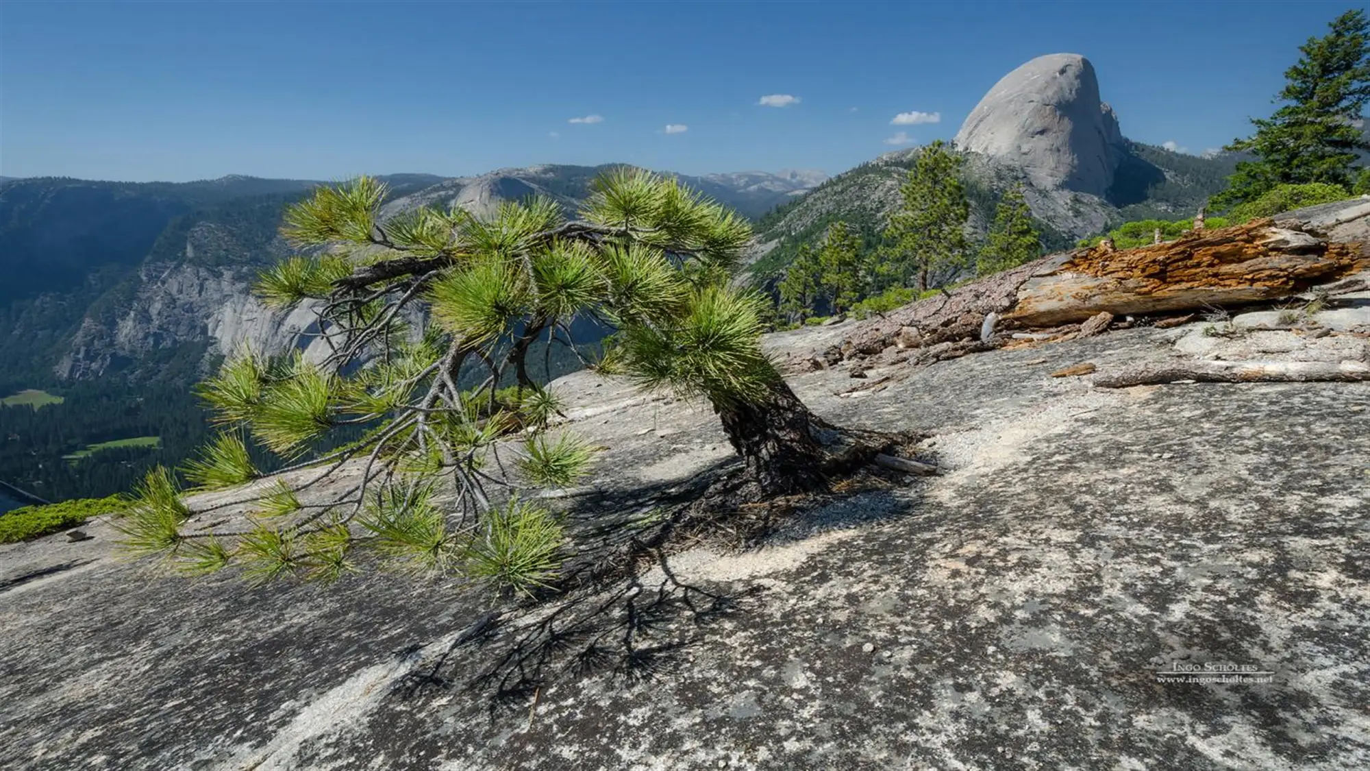 Scenes from Yosemite by Ingo Scholtes wallpaper preview on a Windows desktop