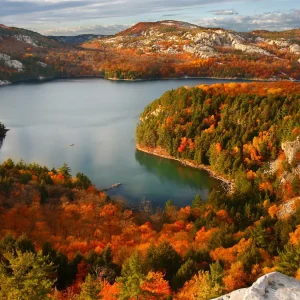 16 autumn colors windows theme
