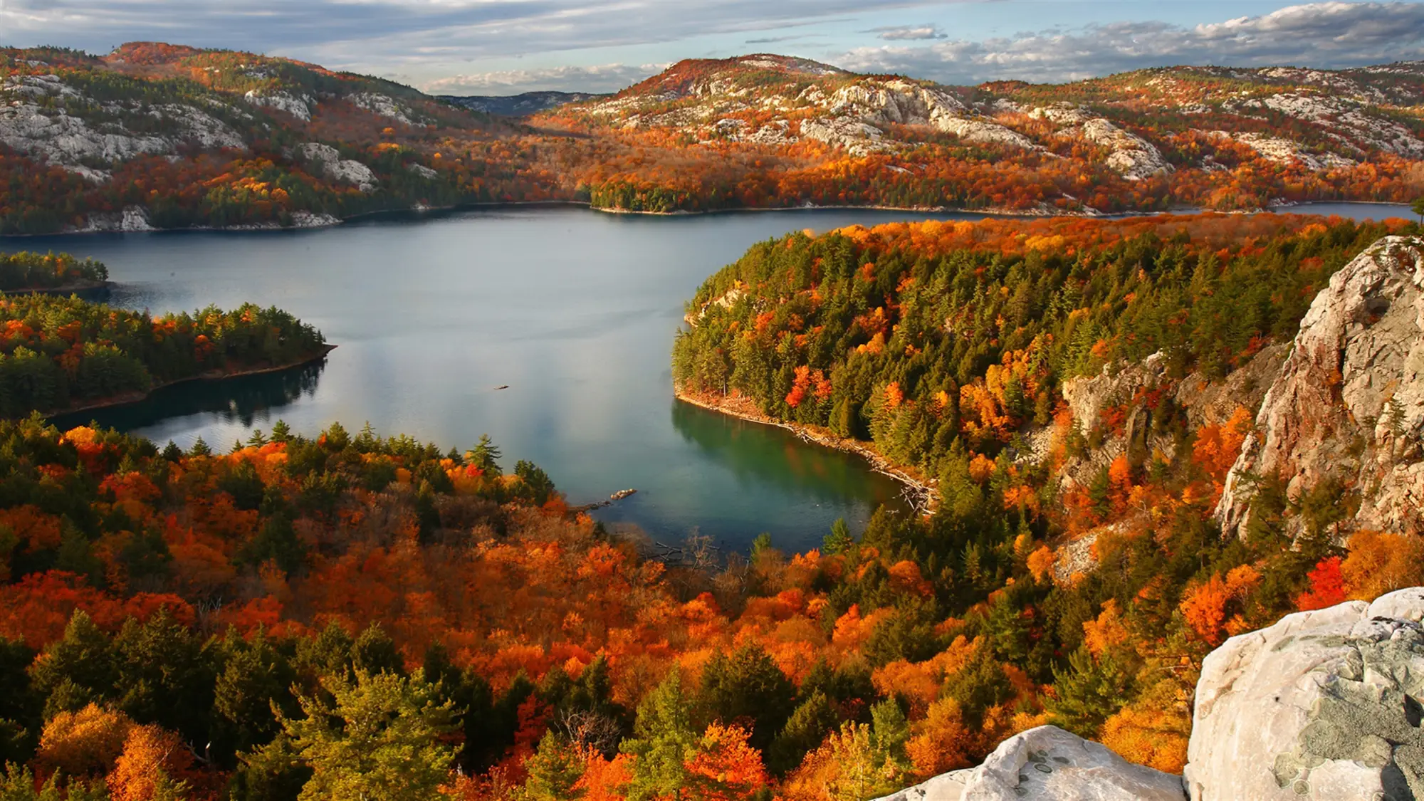 Autumn Colors wallpaper preview on a Windows desktop