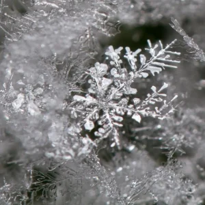 17 frost macros windows theme