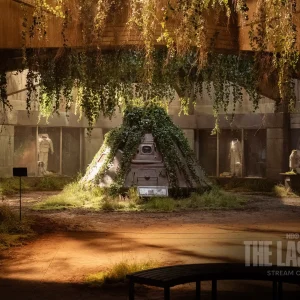 19 the last of us windows theme