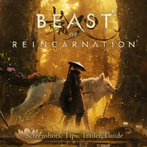 Bor game for pc cover