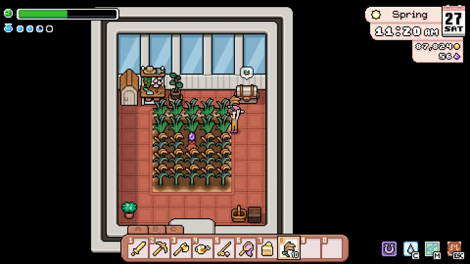 The inside of a greenhouse packed with rows of carrots in Fields of Mistria, with the farmer watering them out of season